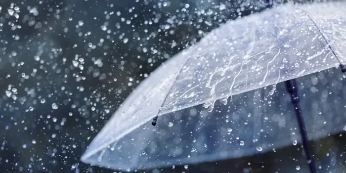 Regn Vejr Paraply 1024X614